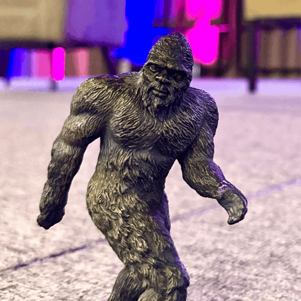 Sasquatch region 12 headshot